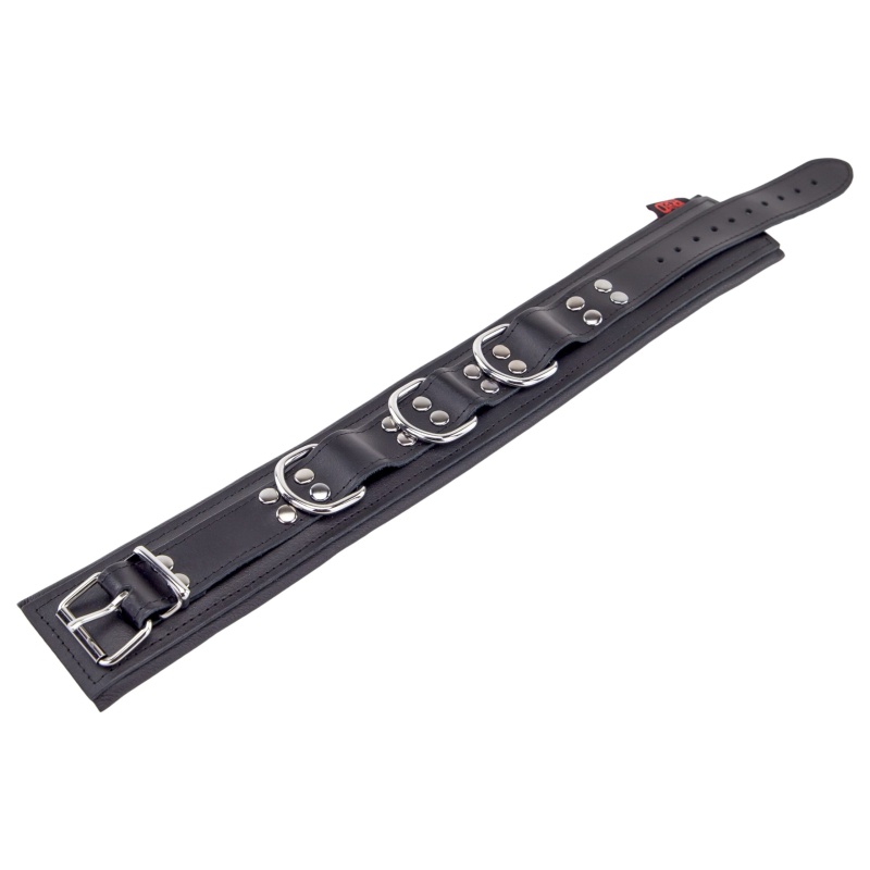collier rembourre en cuir avec anneaux d noir 1 3 scaled