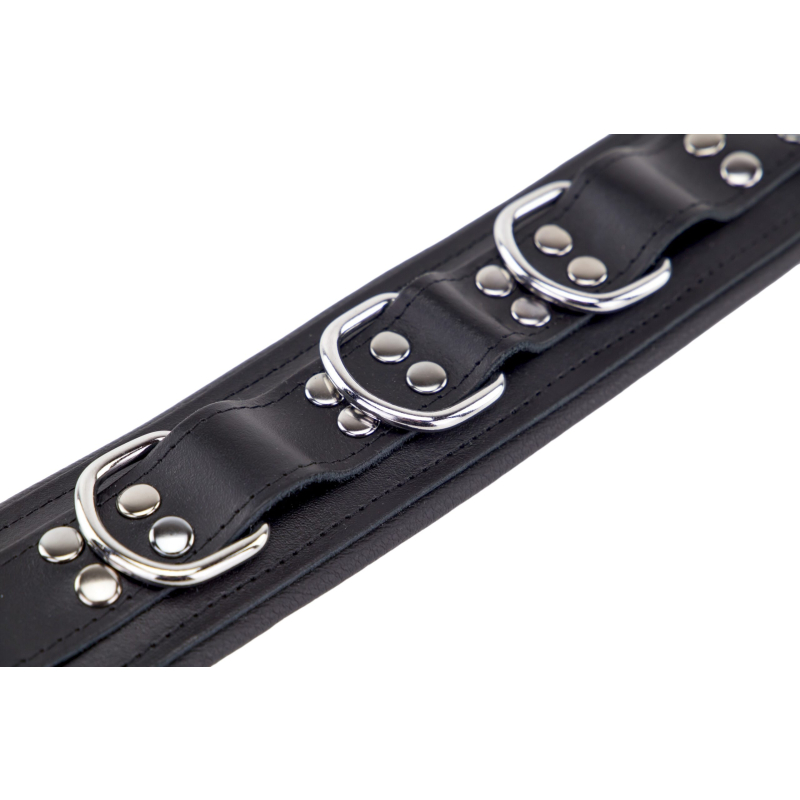 collier rembourre en cuir avec anneaux d noir 1 4 scaled