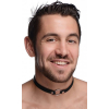collier sex pet avec anneau metal 3