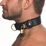 collier sm tracker 2