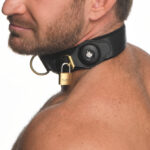 collier sm tracker 3