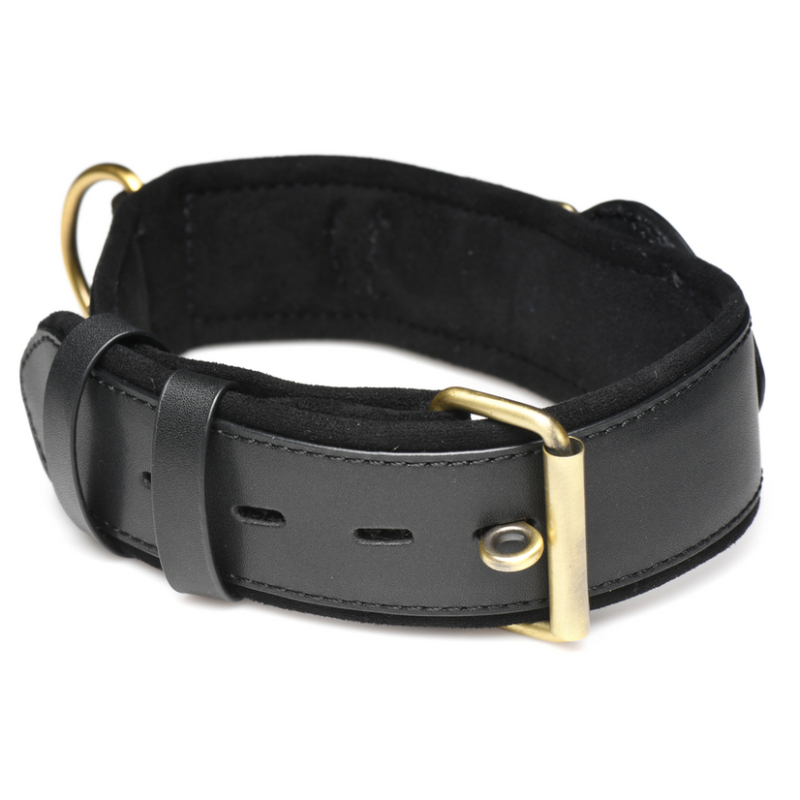 collier sm tracker 5