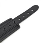 collier soumission avec laisse noir 6