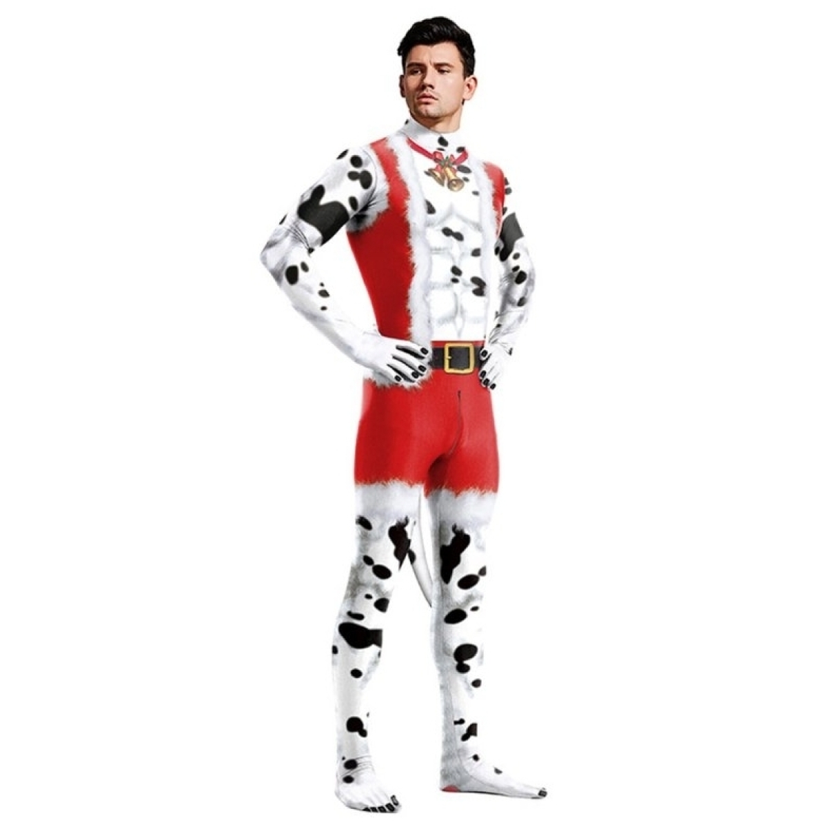 combinaion dalmatien de noel 2