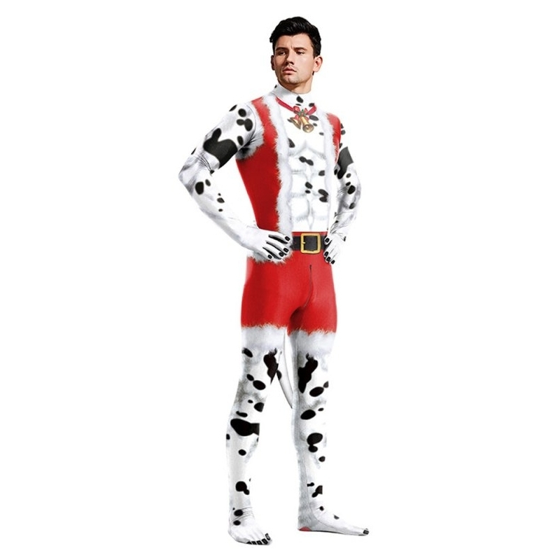 combinaion dalmatien de noel 2