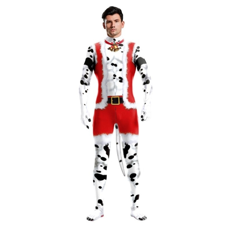 combinaion dalmatien de noel