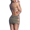 cr 4487 leopard 1