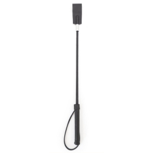 cravache riddy 45cm noire