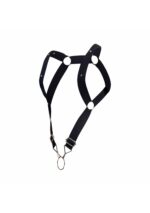dngeon straigh back harness black 5 scaled