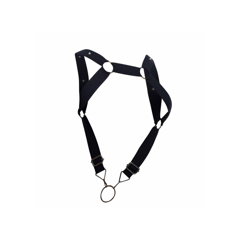 dngeon straigh back harness black 6 scaled