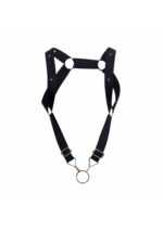 dngeon straigh back harness black 7 scaled