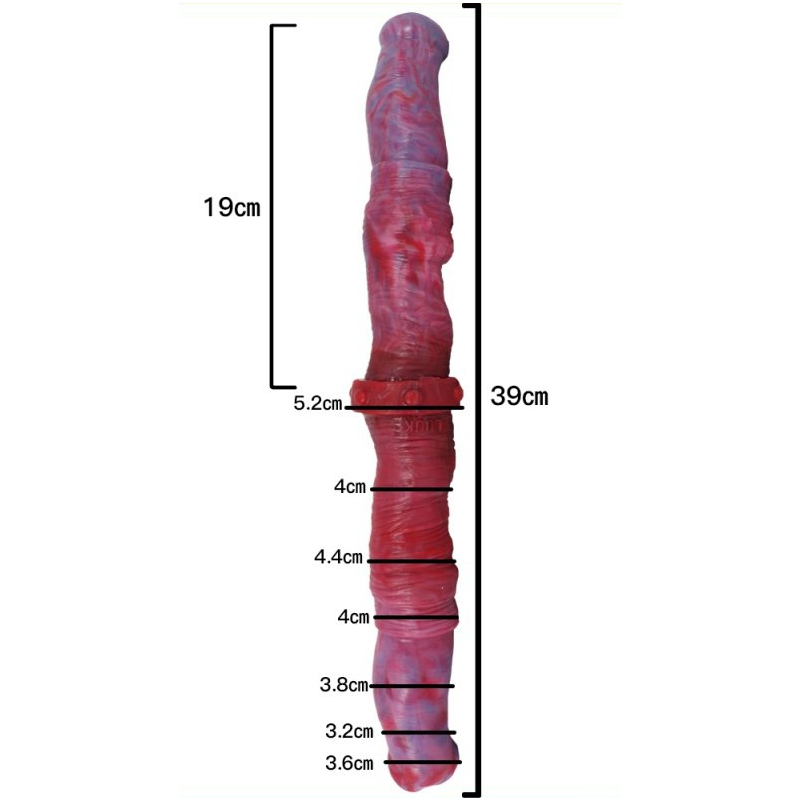 double gode duo ended 39 x 44cm 5