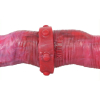 double gode duo ended 39 x 44cm 7