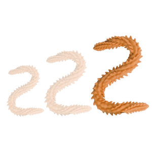 double gode scolop l 60 x 5cm orange