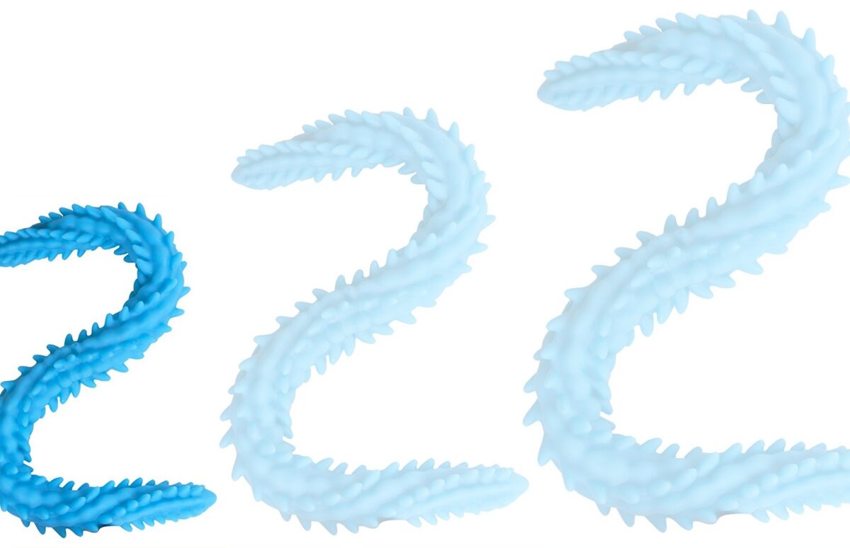 double gode scolop s 40 x 3cm bleu