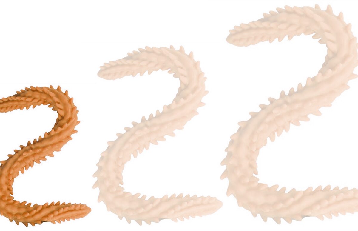 double gode scolop s 40 x 3cm orange