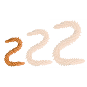 double gode scolop s 40 x 3cm orange