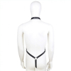 ensemble panties avec harnais simili 2