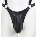 ensemble panties avec harnais simili 5