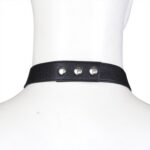 ensemble panties avec harnais simili 6