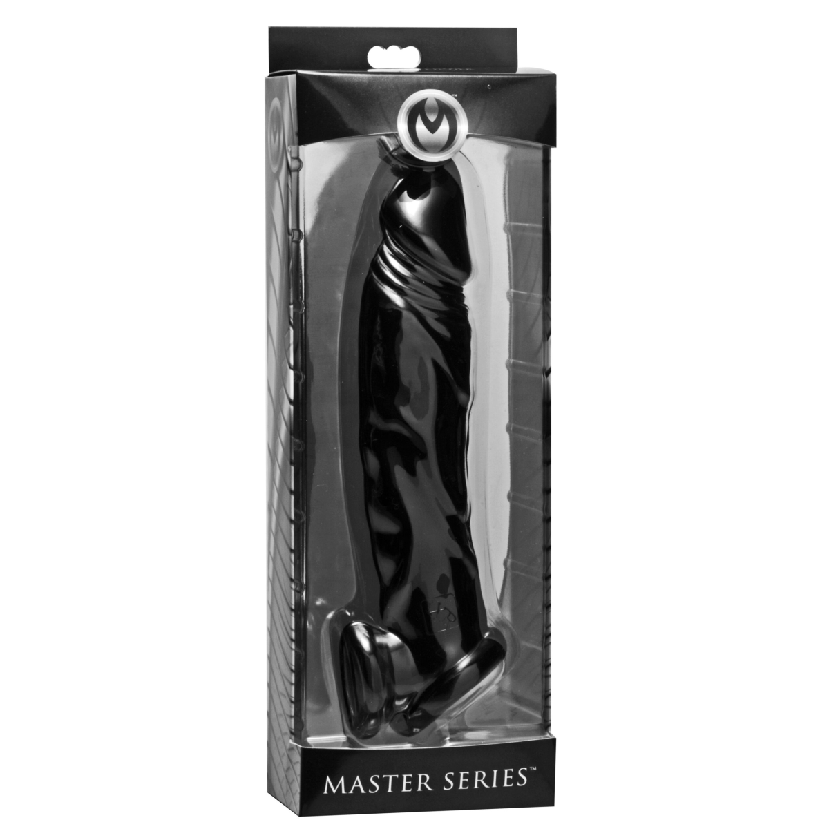 etui penien 21 x 5cm noir 1 scaled