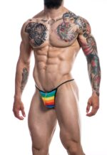 g string rainbow 2 scaled