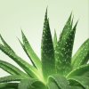 gel de massage nuru mixgliss aloe vera 150ml 1