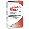 ginkgo biloba 60 gelules