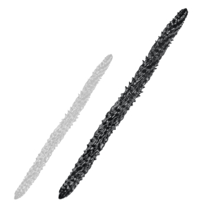 gode big silur 80 x 65cm noir