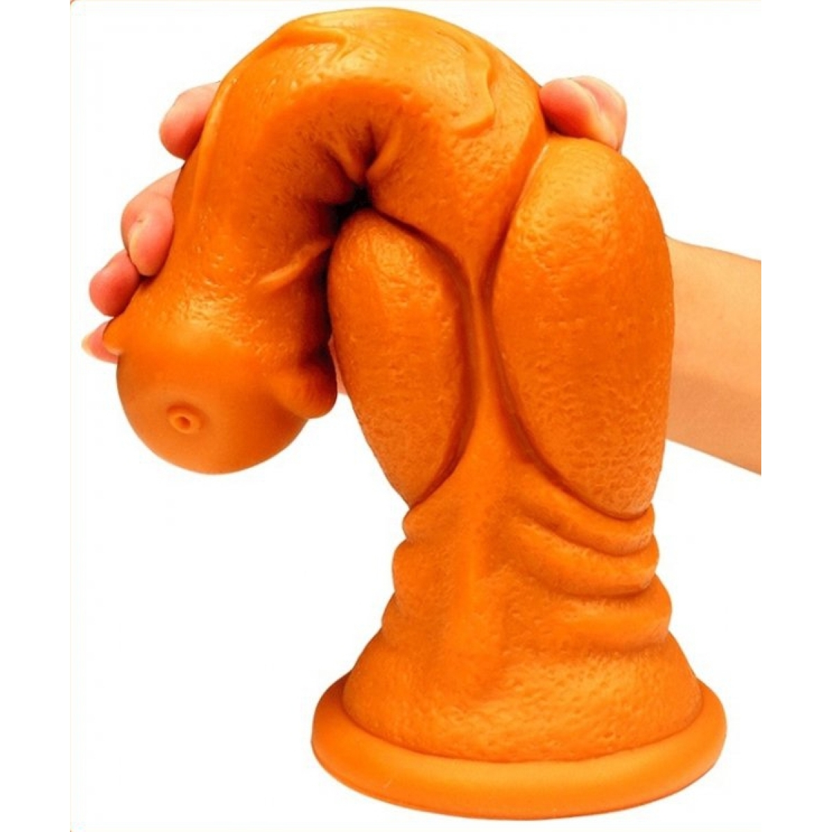 gode canis l 28 x 85cm 2