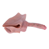 gode ceinture creux pelmix 20 x 5cm 5