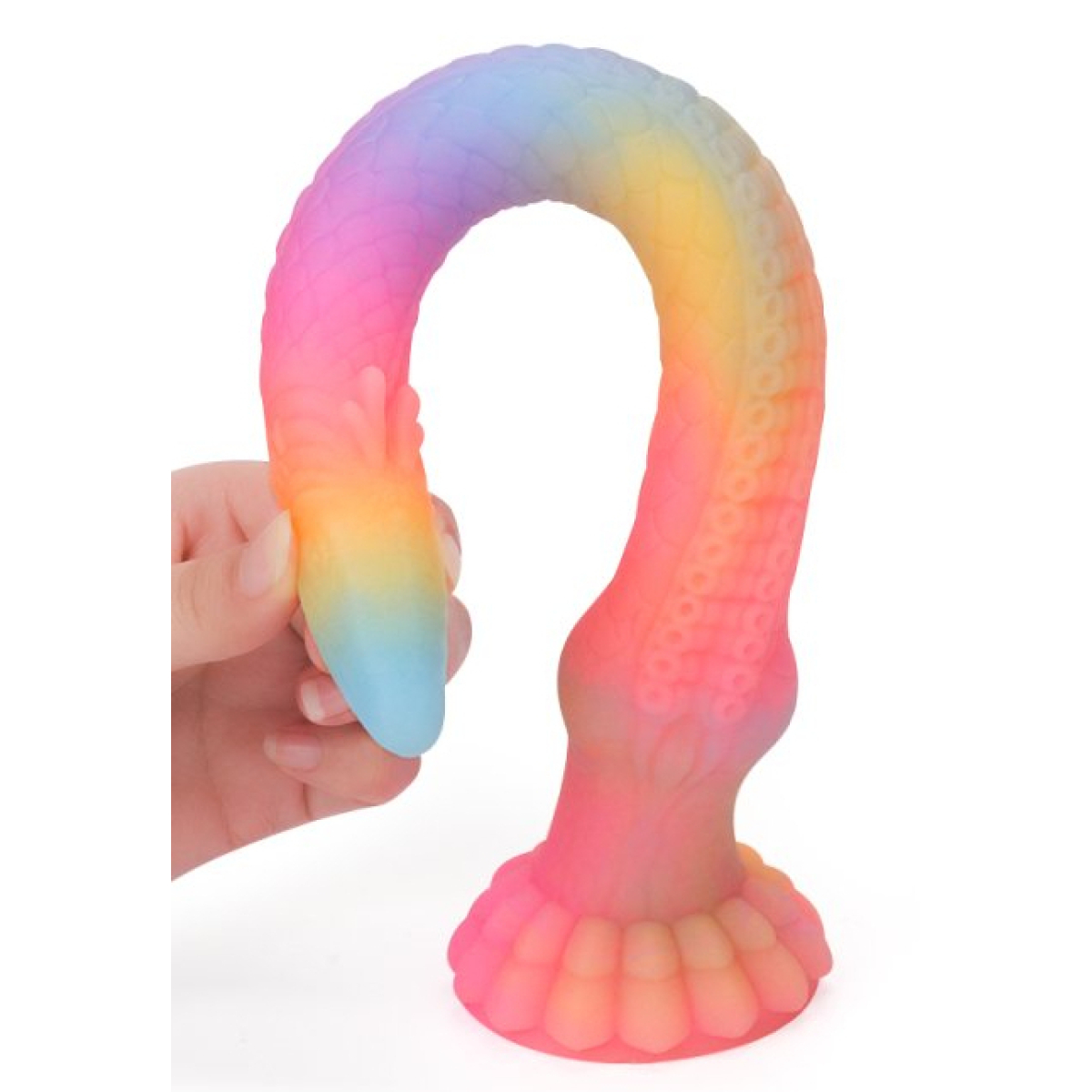 gode falkorix l 52 x 75 cm multicolore 3