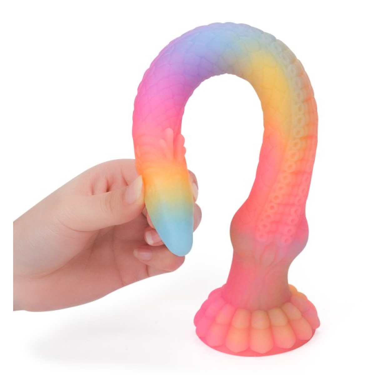 gode falkorix s 28 x 4 cm multicolore 3