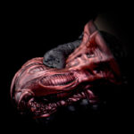 gode nemosis 17 x 65cm 2