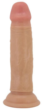 gode quentin 15 x 38cm