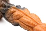 gode ravager 17 x 45cm 5