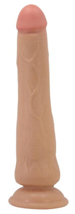 gode tiemeyer 21 x 43cm 2