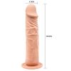 gode ventouse baile calvin 18 x 4cm 4