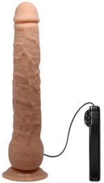 gode vibrant dick beautiful 21 x 45cm 3