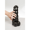 gode xxl dinoo dilong 20cm 1