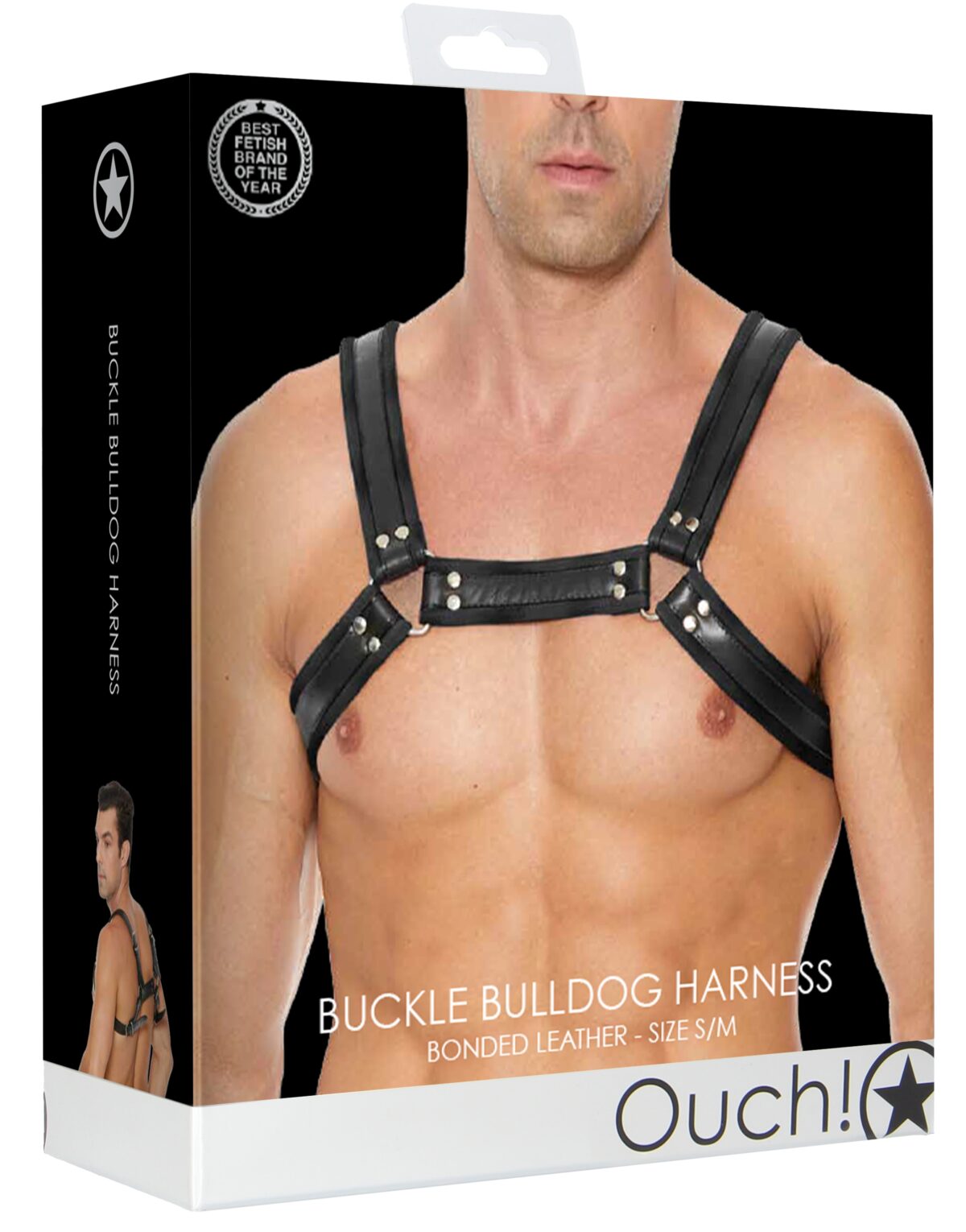 harnais buckle bulldog noir 1 scaled
