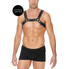 harnais buckle bulldog noir 2 scaled