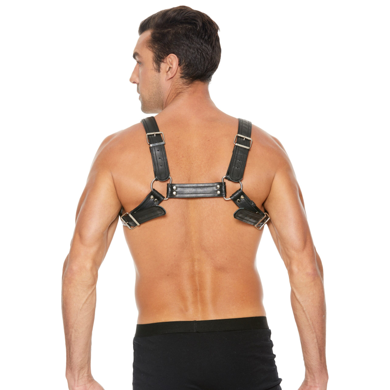 harnais buckle bulldog noir 4 scaled