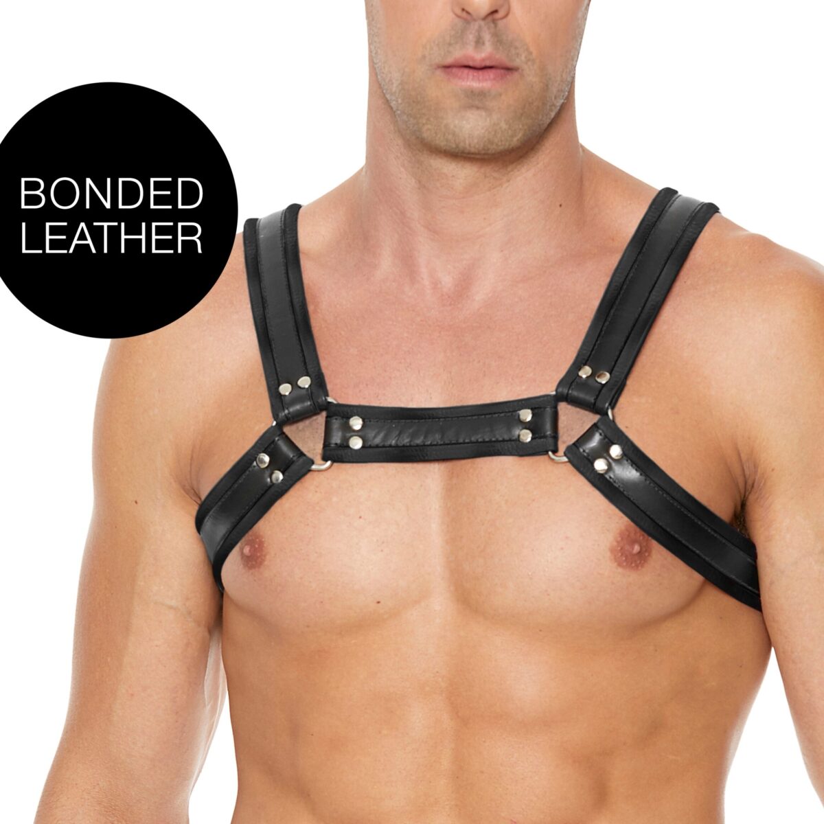 harnais buckle bulldog noir scaled