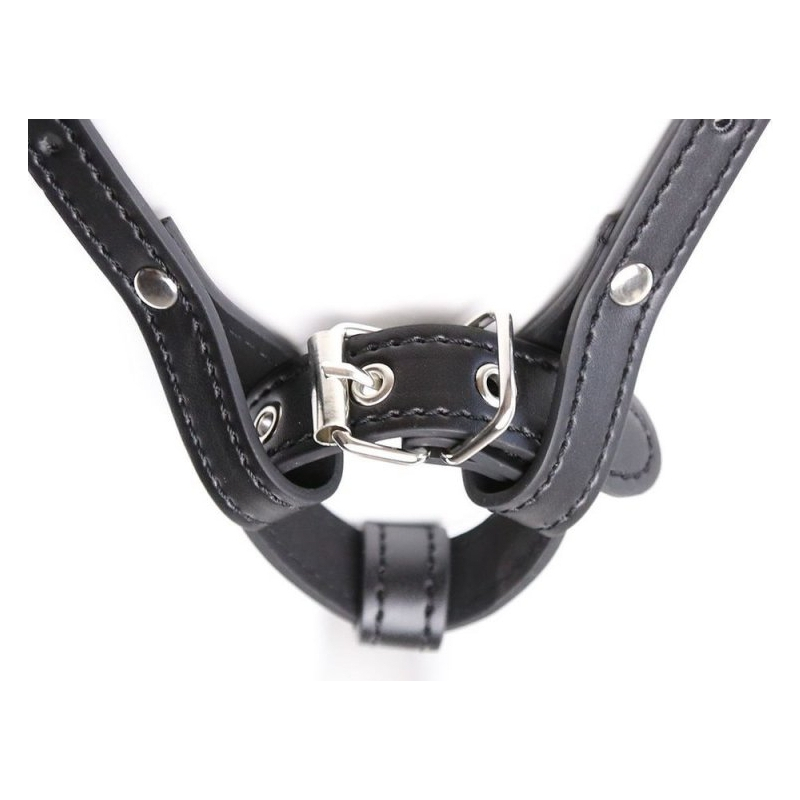 harnais ceinture ring harness noir 2