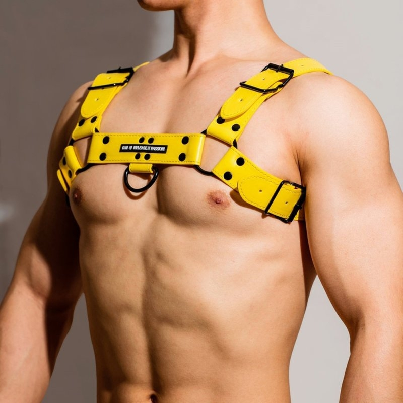 harnais chest all jaune 3