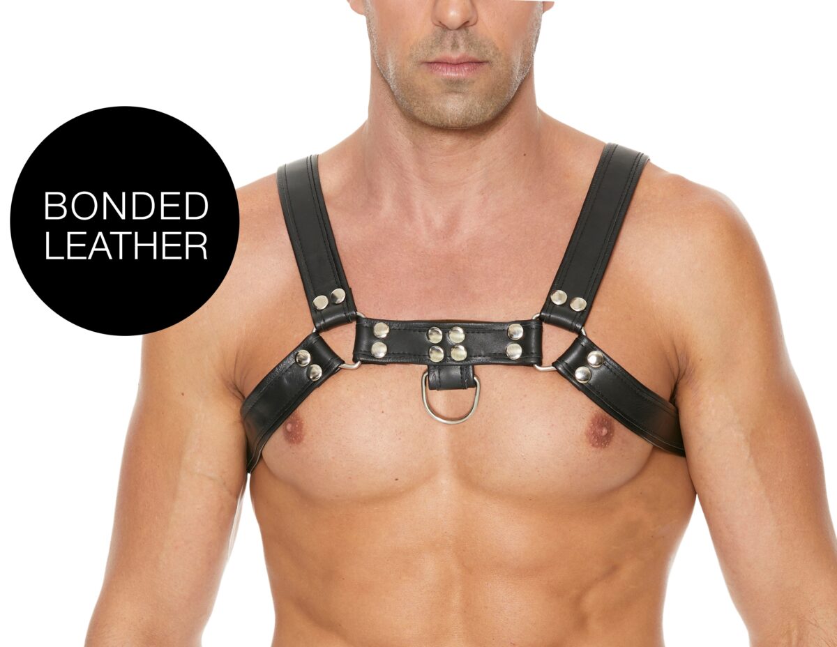 harnais chest bulldog noir scaled