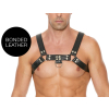 harnais chest bulldog noir scaled