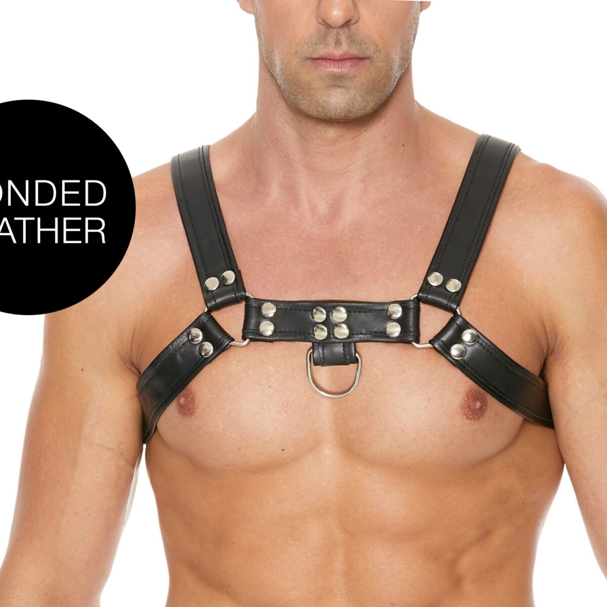 harnais chest bulldog noir scaled