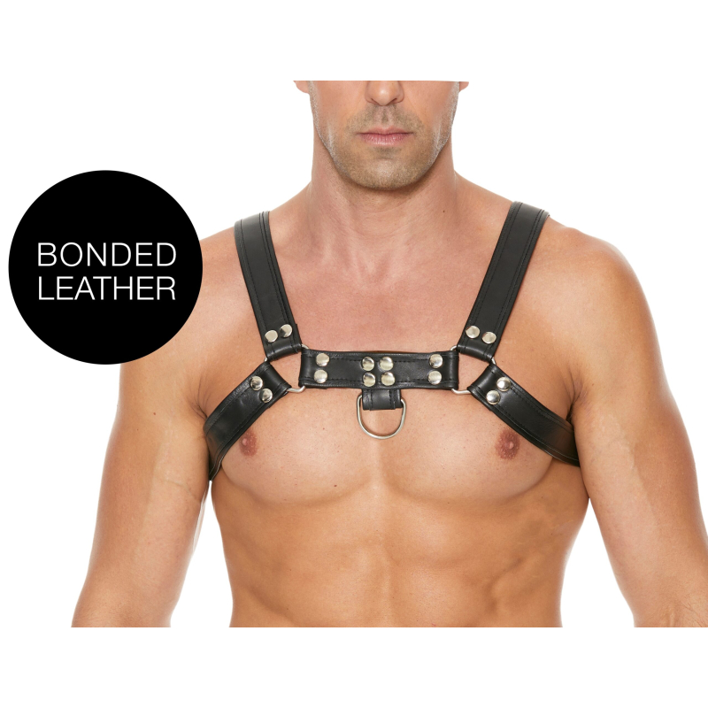 harnais chest bulldog noir scaled
